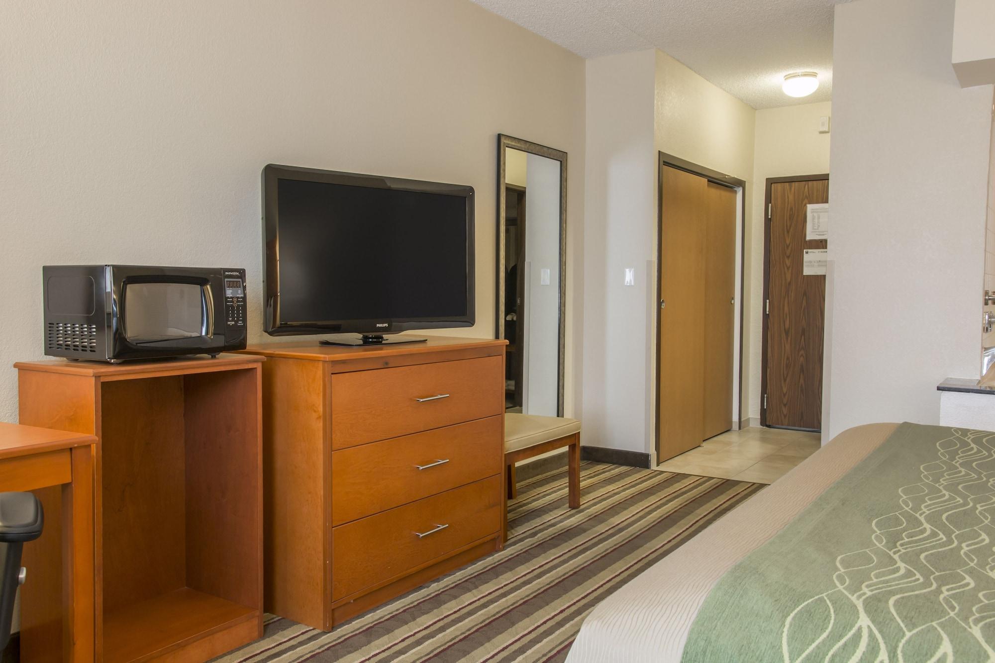 Comfort Inn Metro Airport Romulus Buitenkant foto