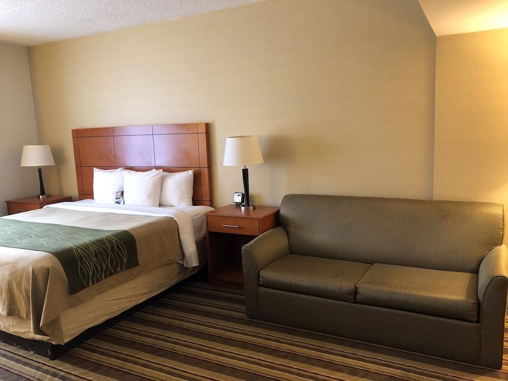 Comfort Inn Metro Airport Romulus Buitenkant foto