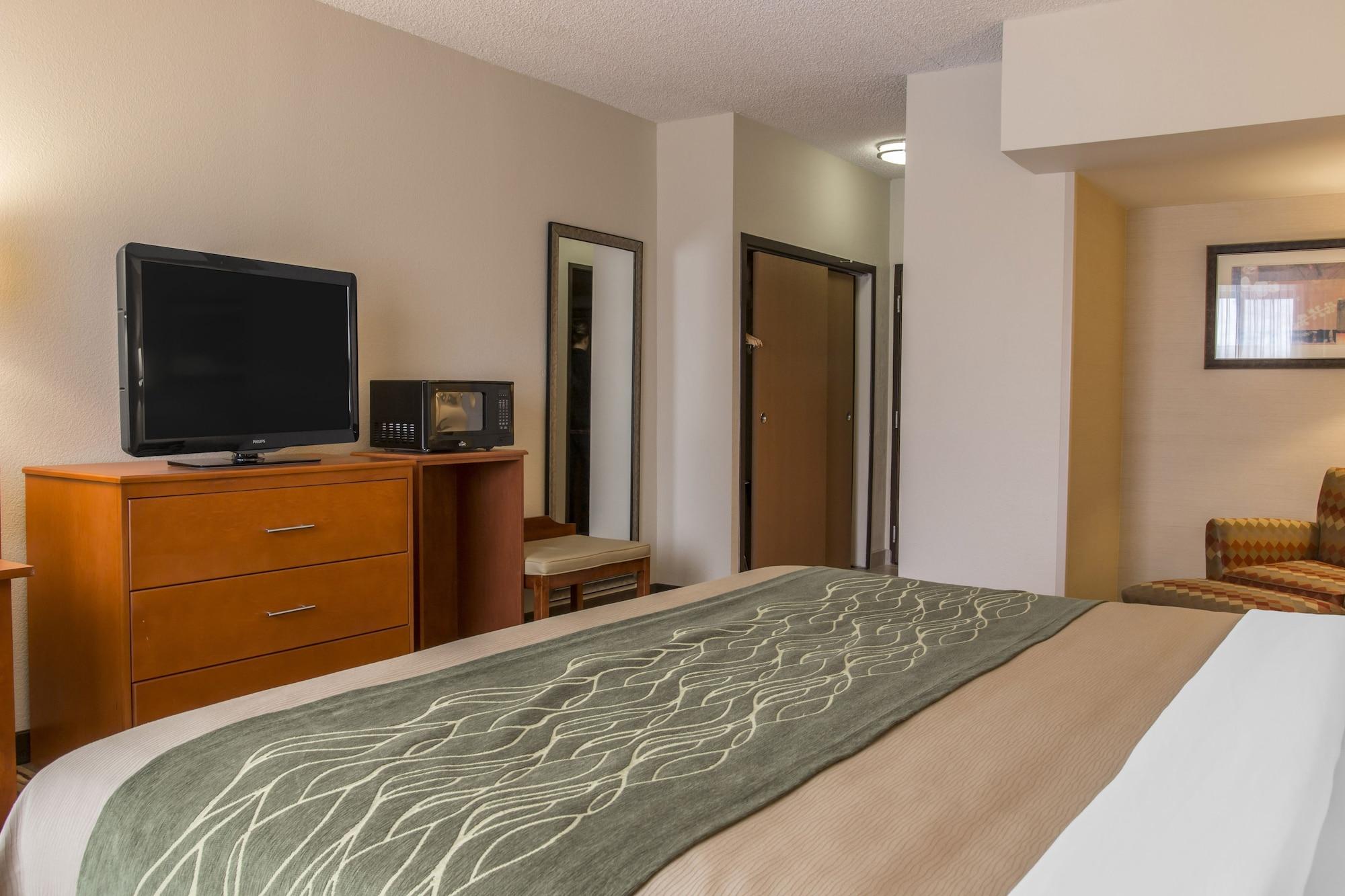 Comfort Inn Metro Airport Romulus Buitenkant foto