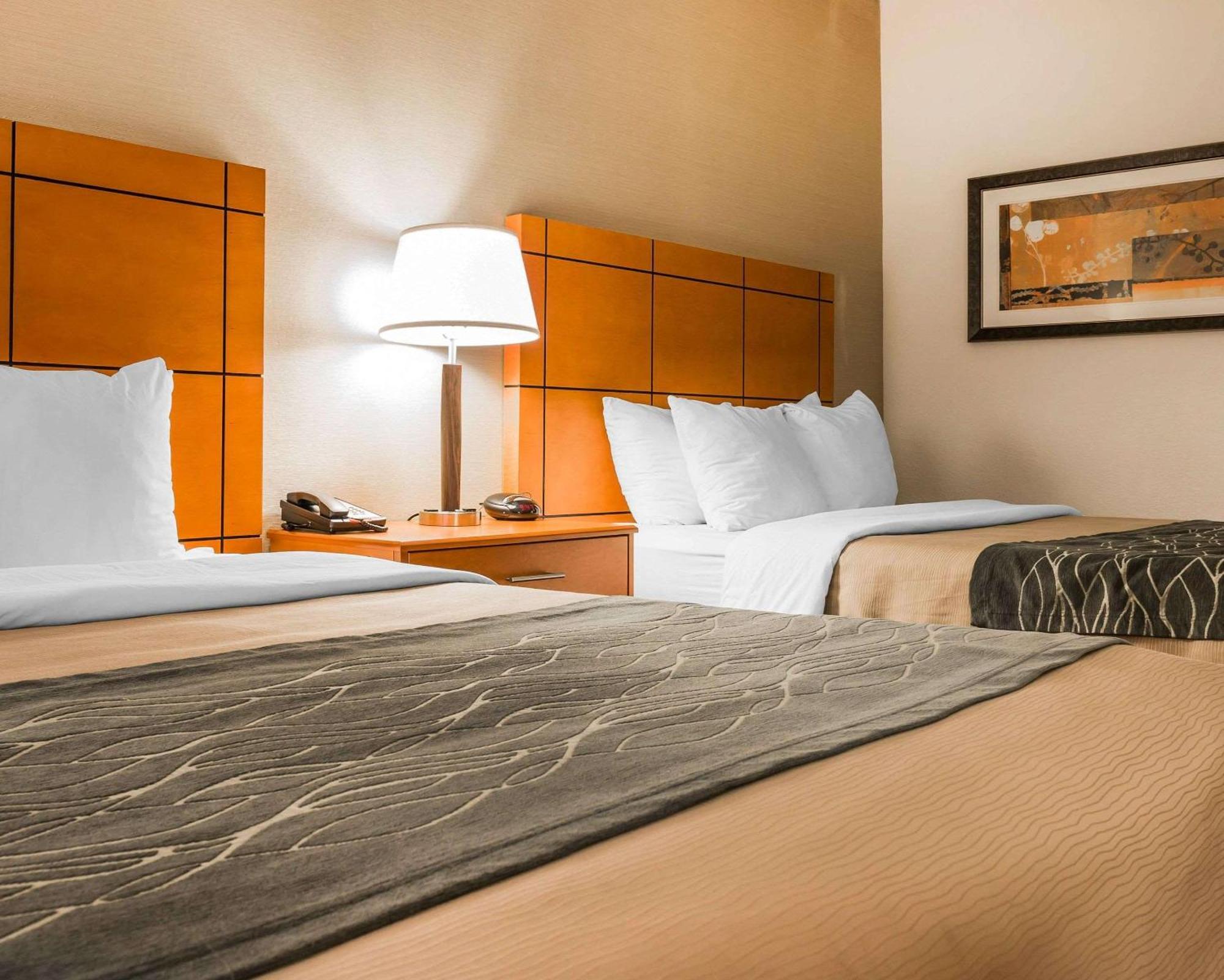 Comfort Inn Metro Airport Romulus Buitenkant foto