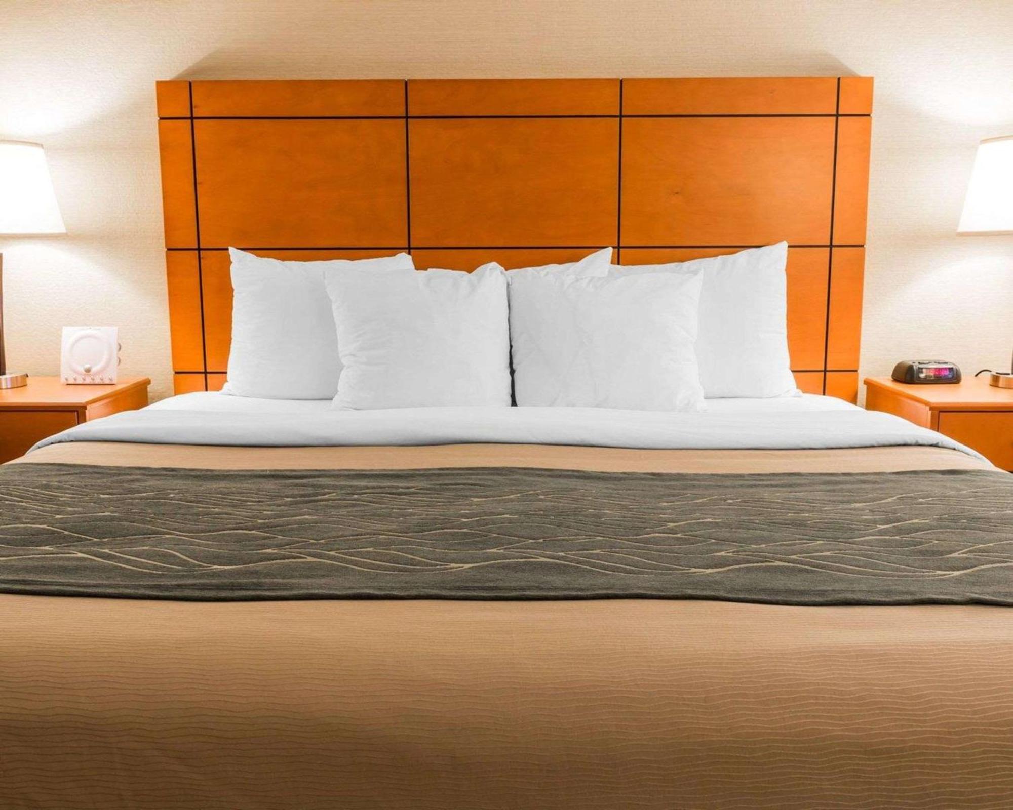 Comfort Inn Metro Airport Romulus Buitenkant foto