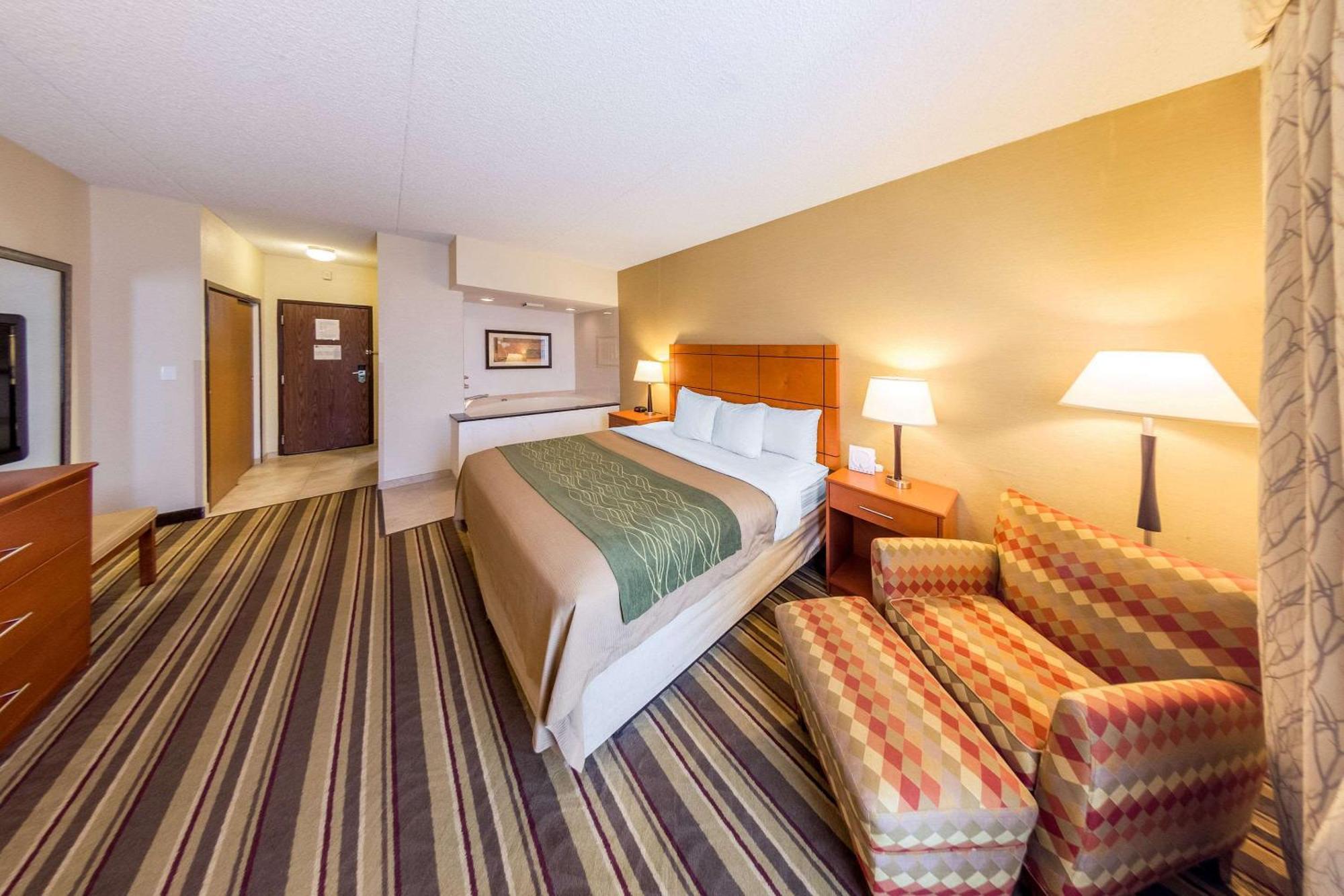 Comfort Inn Metro Airport Romulus Buitenkant foto