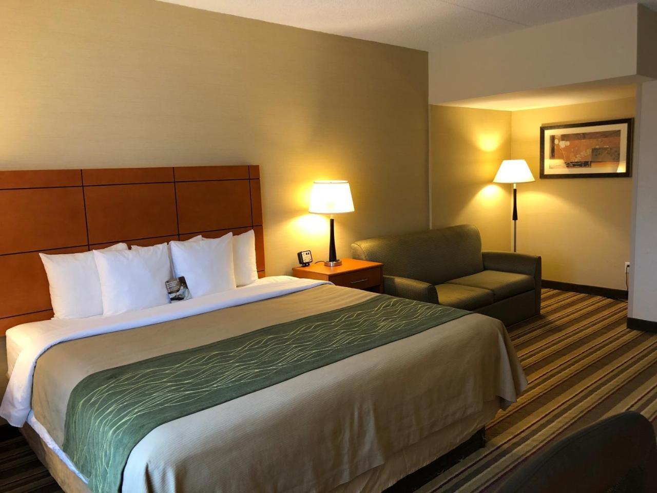 Comfort Inn Metro Airport Romulus Buitenkant foto